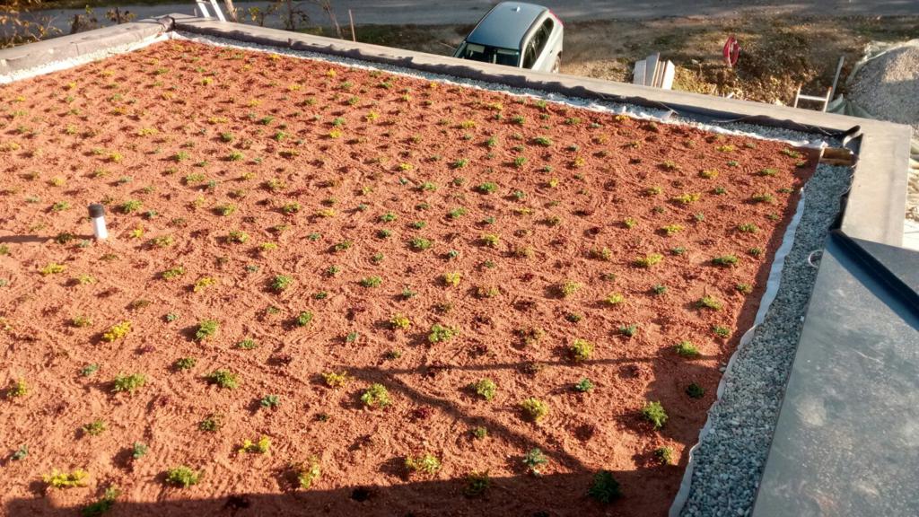 Uređenje zelenog vrta na krovu 